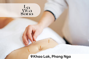 ACUPUNCTURE FOR BODY SHAPE (60 MINS)