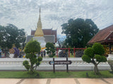 ทริปโฆษะรักษาปวดหลังแบบตรงจุด (3 Days 2 Nights)